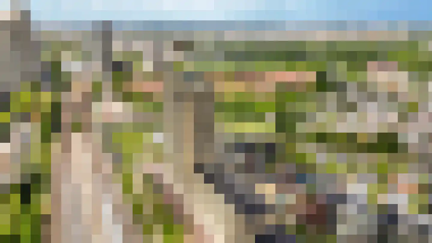 Solitudolaan 224 Amsterdam thumbnail 46