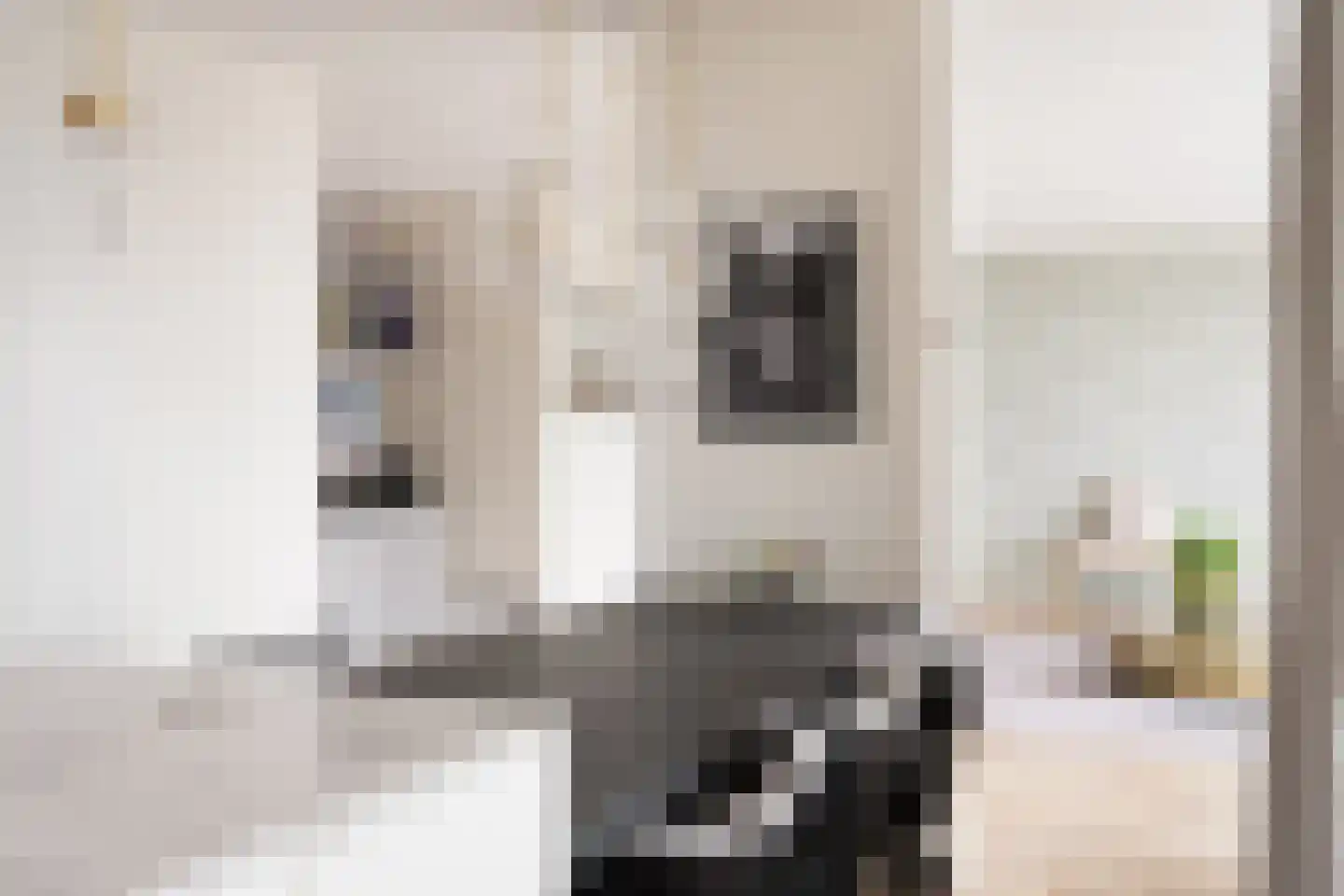 Solitudolaan 238 Amsterdam thumbnail 16