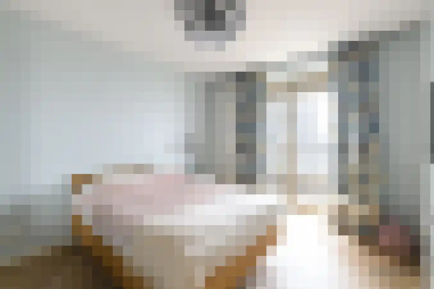 Solitudolaan 238 Amsterdam thumbnail 20