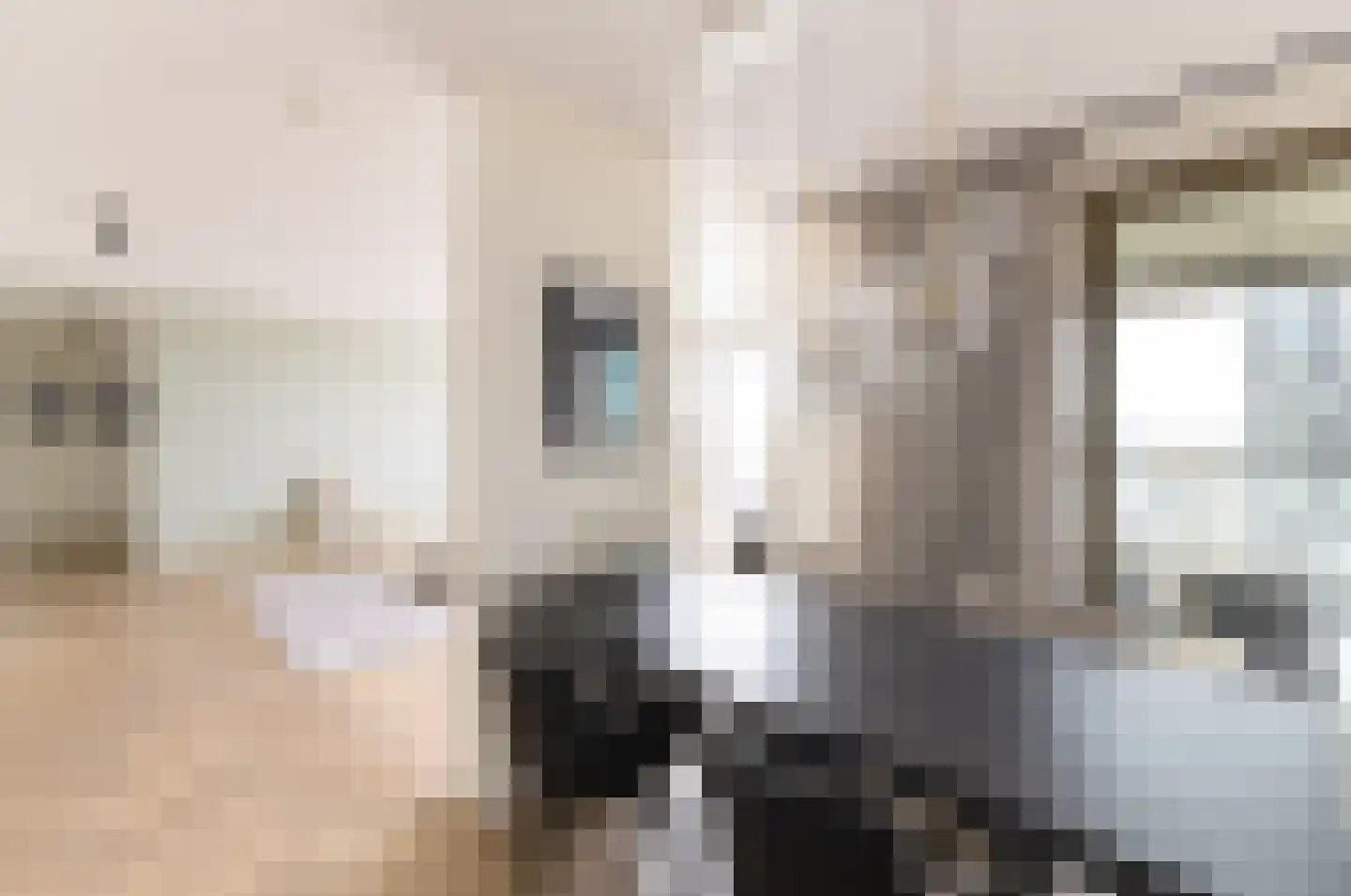 Solitudolaan 238 Amsterdam thumbnail 7