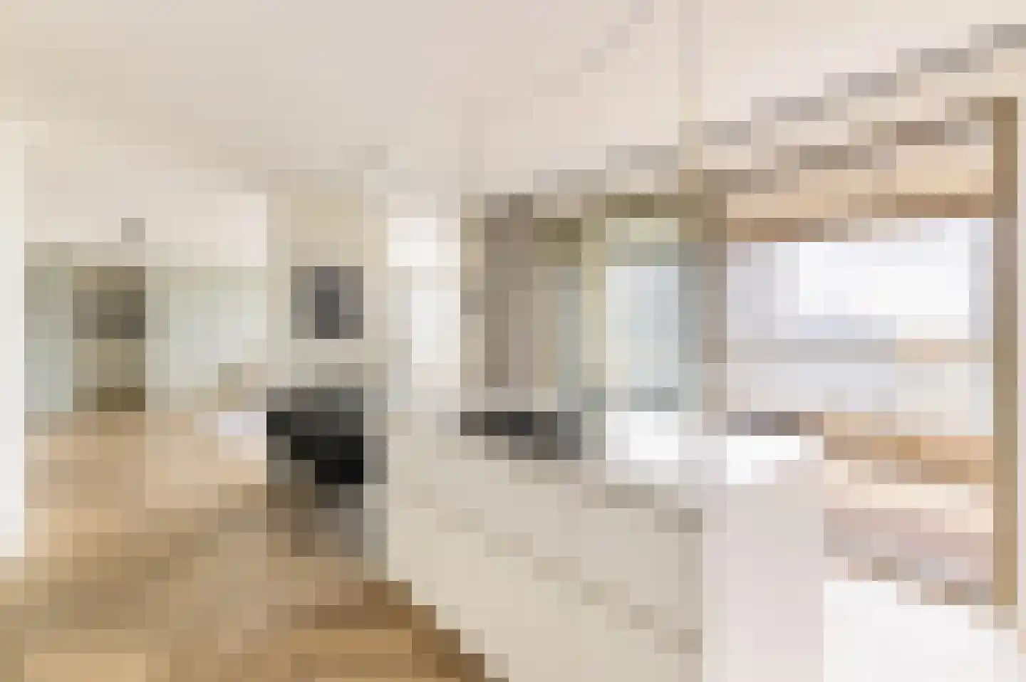 Solitudolaan 238 Amsterdam thumbnail 8