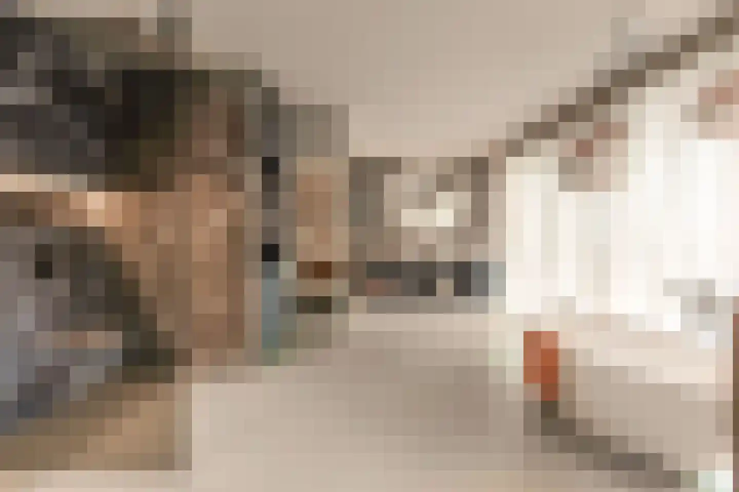 Solitudolaan 264 Amsterdam thumbnail 13