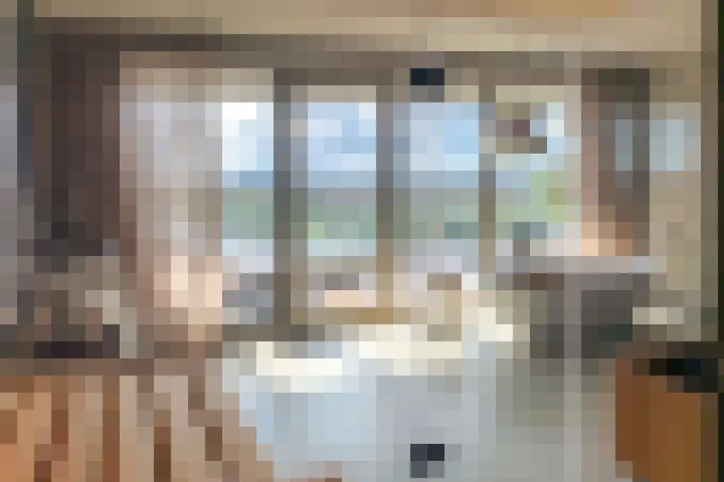 Solitudolaan 264 Amsterdam thumbnail 15