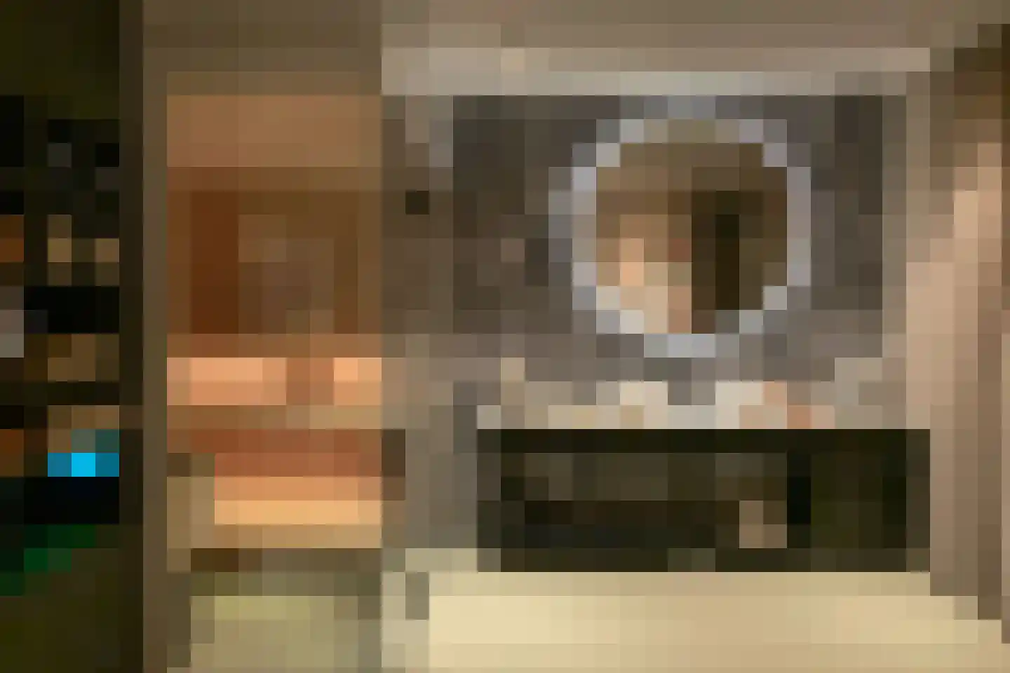 Solitudolaan 264 Amsterdam thumbnail 17