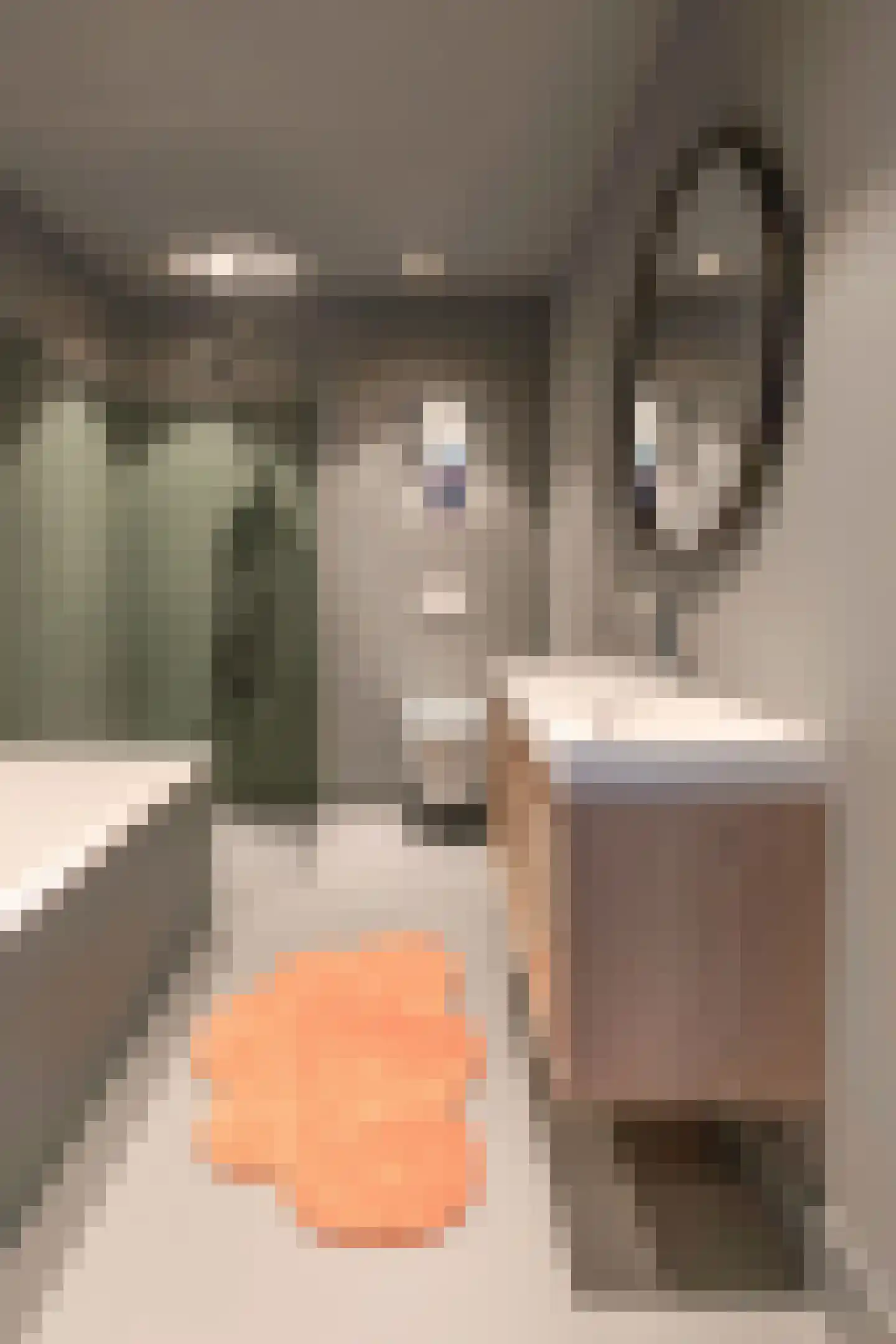 Solitudolaan 264 Amsterdam thumbnail 18