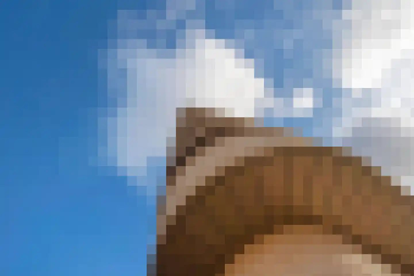Solitudolaan 264 Amsterdam thumbnail 25