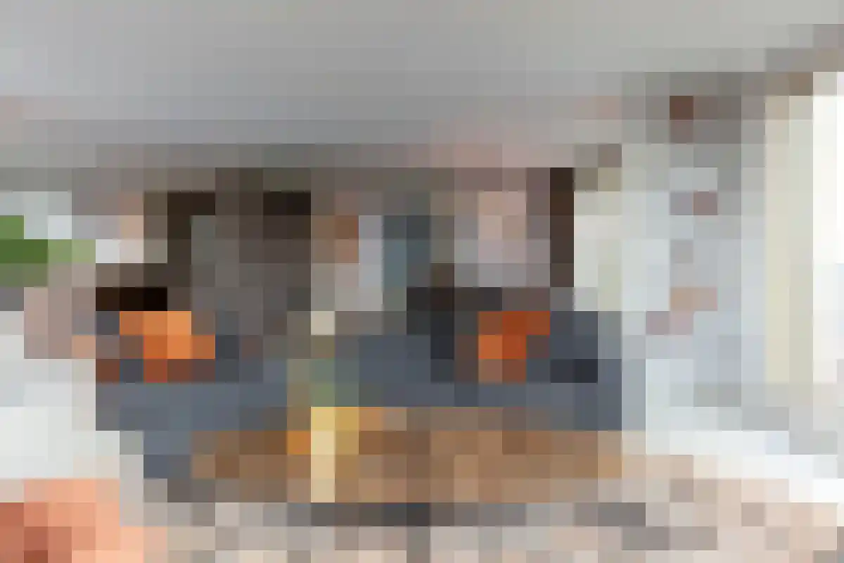 Solitudolaan 264 Amsterdam thumbnail 4
