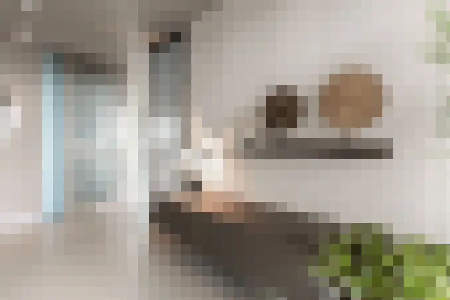 Solitudolaan 264 Amsterdam thumbnail 7