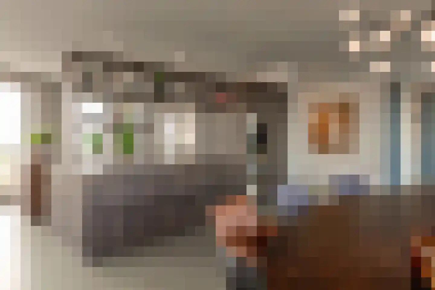 Solitudolaan 264 Amsterdam thumbnail 8