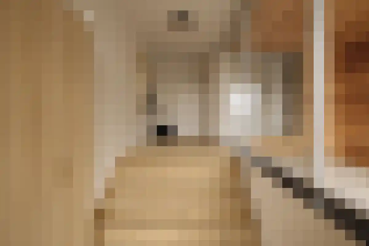 Solitudolaan 394 Amsterdam thumbnail 4