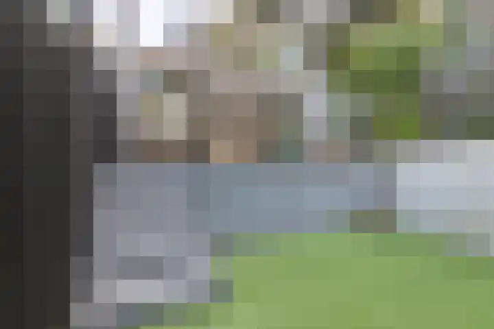 Solitudolaan 412 B Amsterdam thumbnail 11