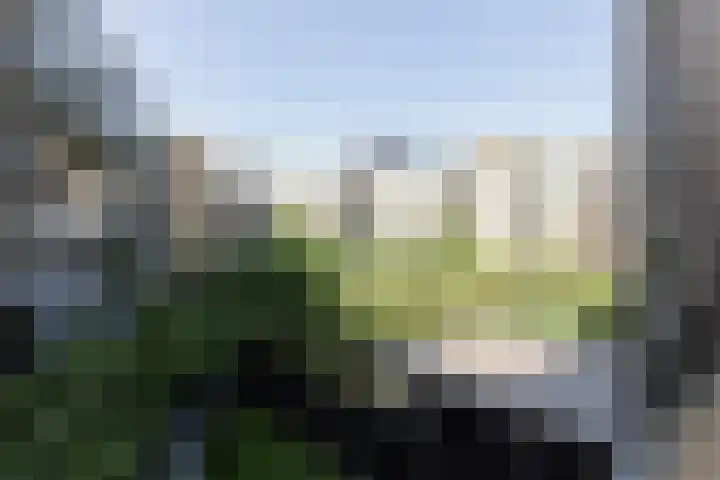 Solitudolaan 412 B Amsterdam thumbnail 21