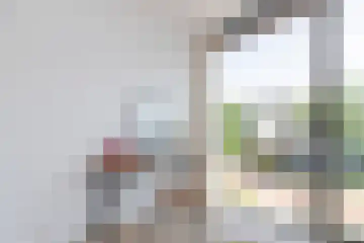 Solitudolaan 412 B Amsterdam thumbnail 29