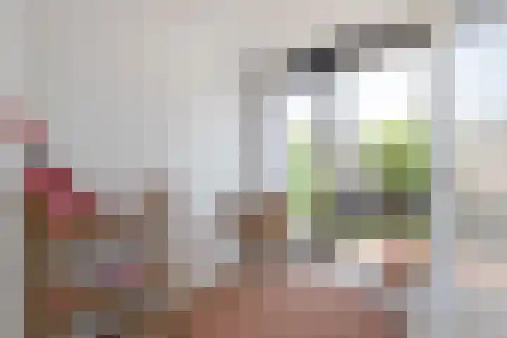 Solitudolaan 412 B Amsterdam thumbnail 30
