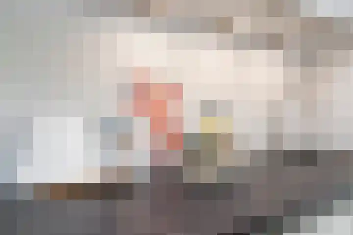 Solitudolaan 412 C Amsterdam thumbnail 12