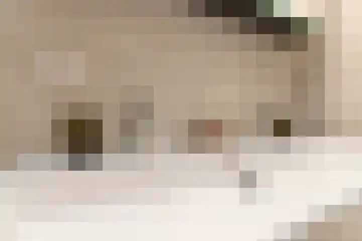 Solitudolaan 412 C Amsterdam thumbnail 13