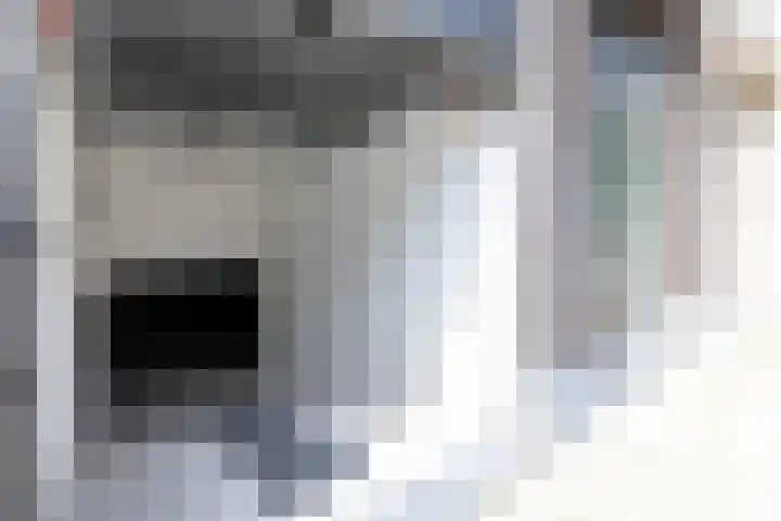 Solitudolaan 412 C Amsterdam thumbnail 20
