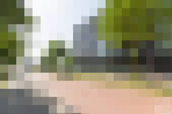 Solitudolaan 412 C Amsterdam thumbnail 23