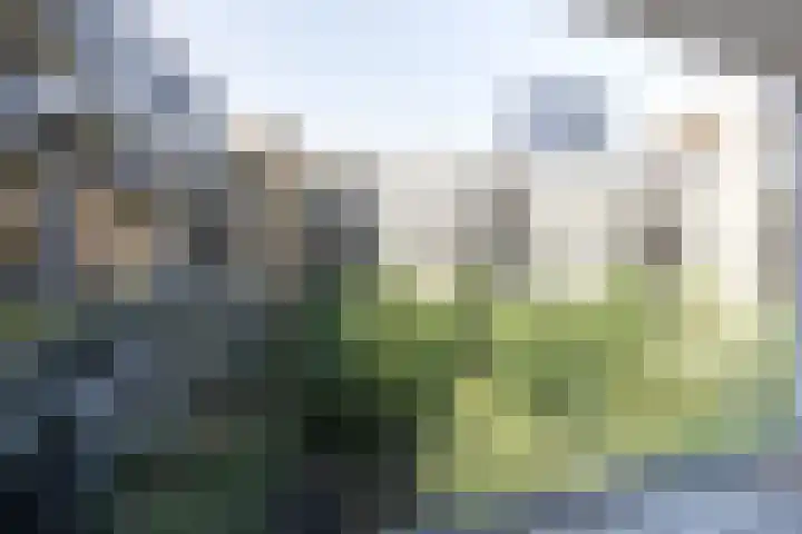 Solitudolaan 412 C Amsterdam thumbnail 5