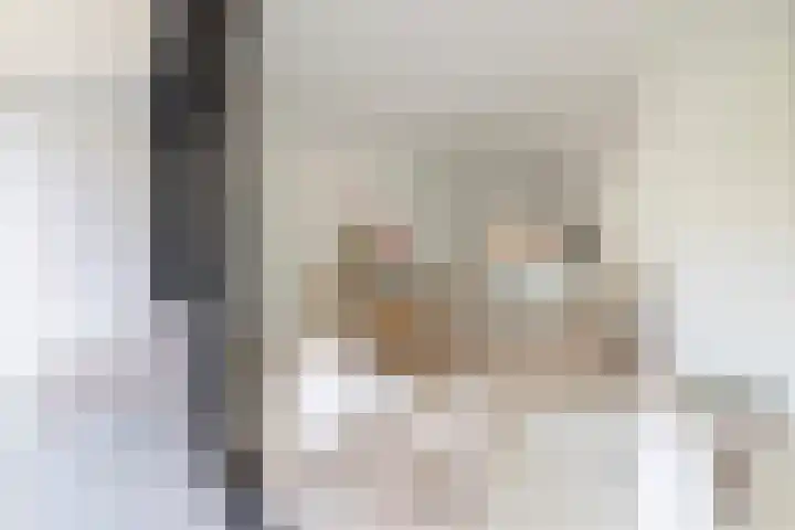 Solitudolaan 412 C Amsterdam thumbnail 9