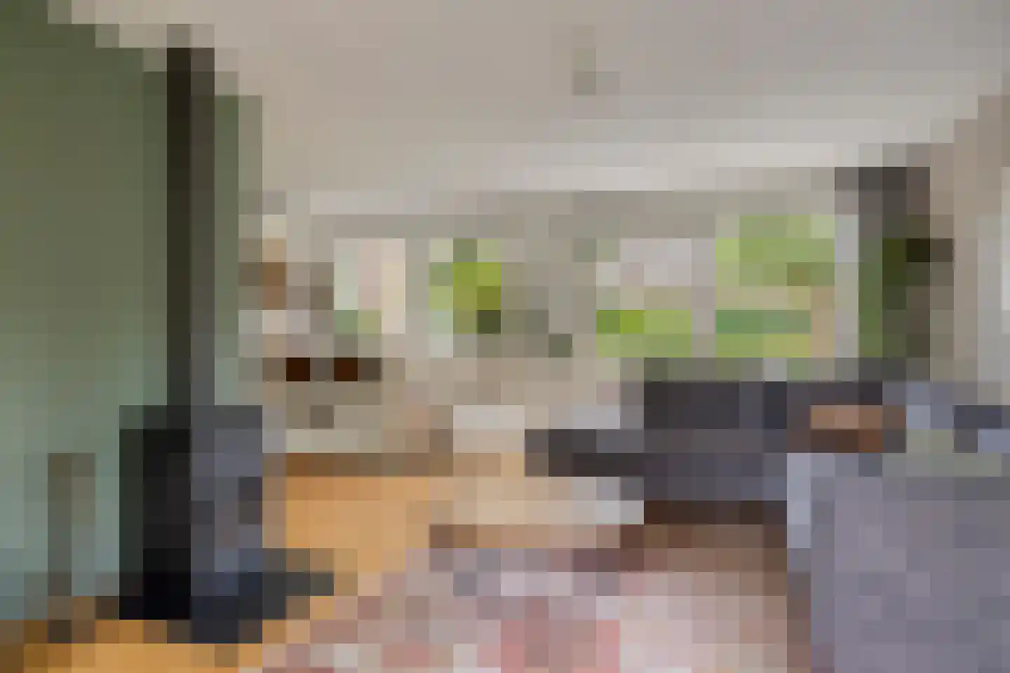 Soltstede 14 Vries thumbnail 10