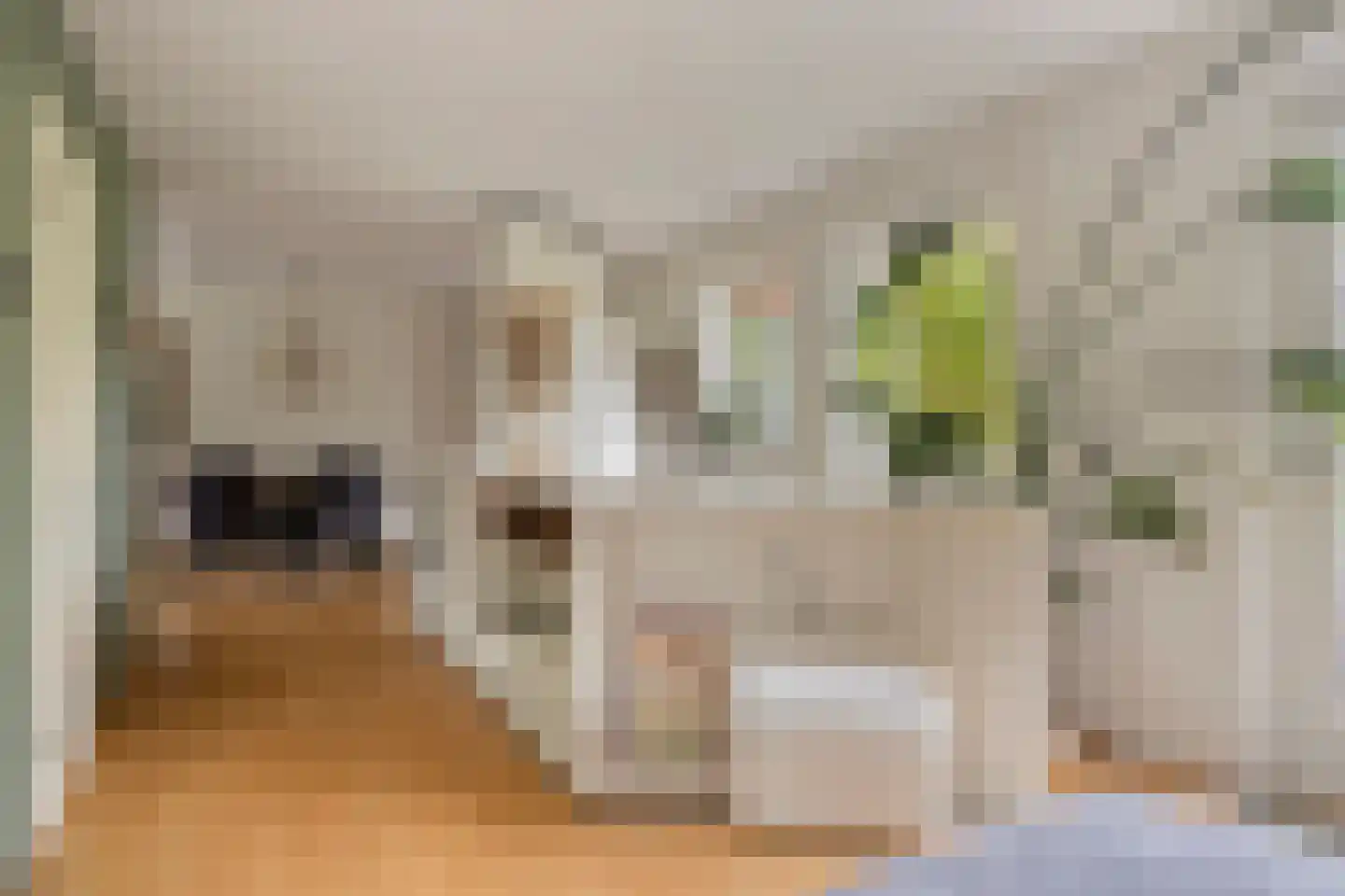 Soltstede 14 Vries thumbnail 13
