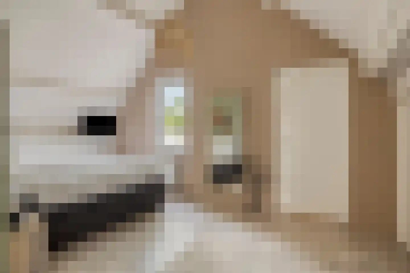 Soltstede 14 Vries thumbnail 27