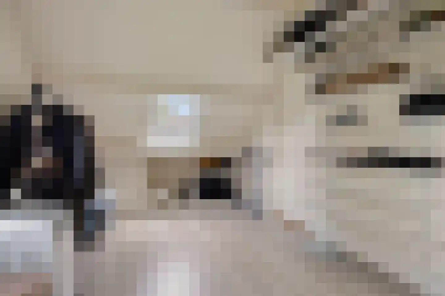 Soltstede 14 Vries thumbnail 31