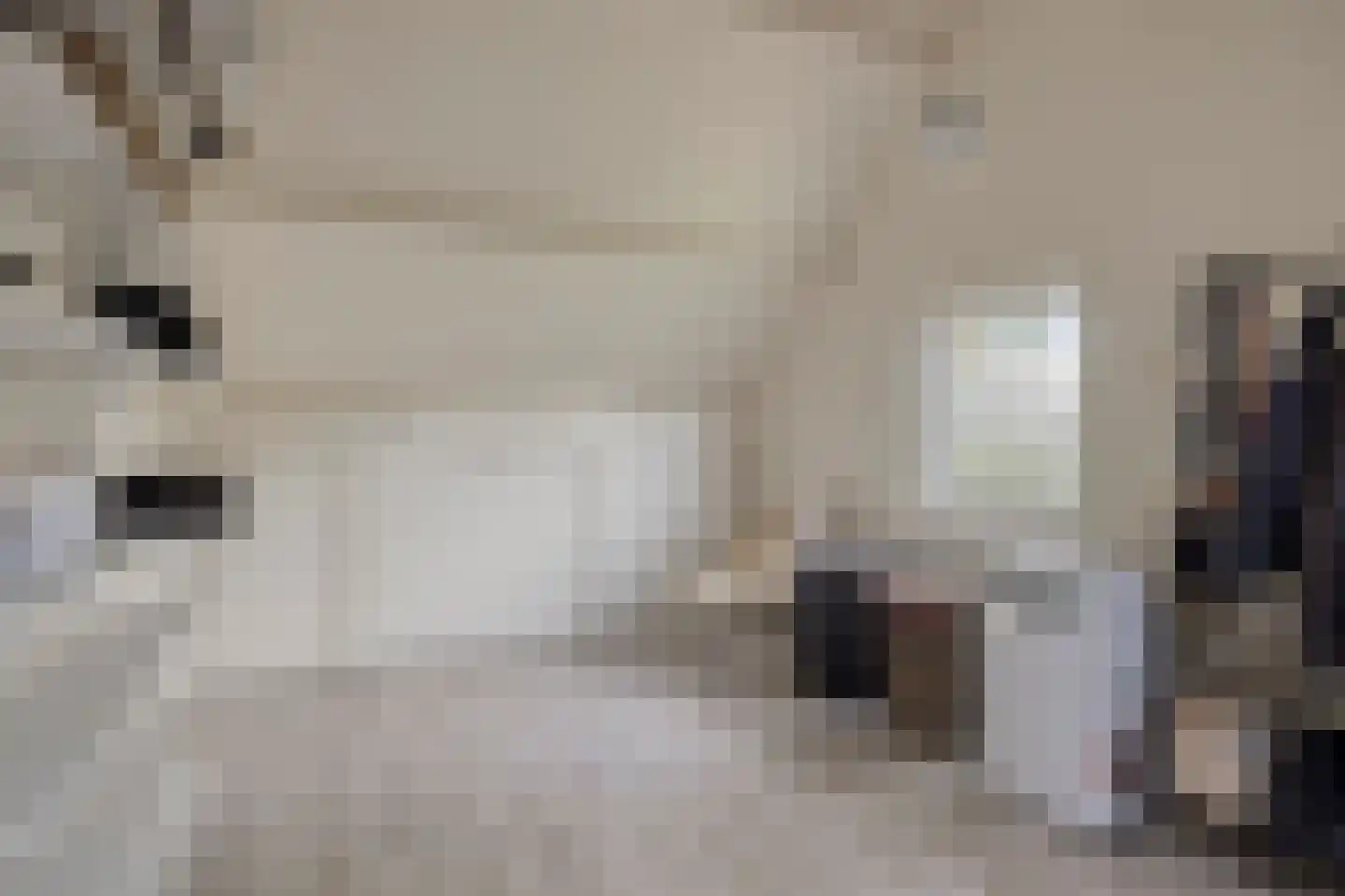 Soltstede 14 Vries thumbnail 32