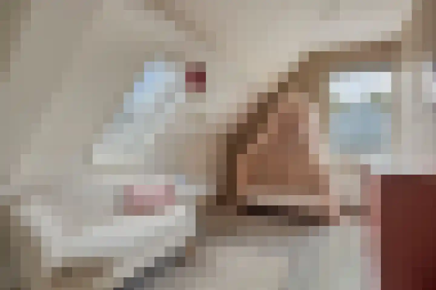 Soltstede 14 Vries thumbnail 35