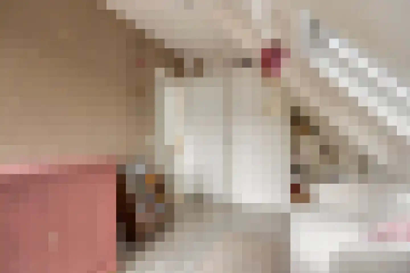 Soltstede 14 Vries thumbnail 36