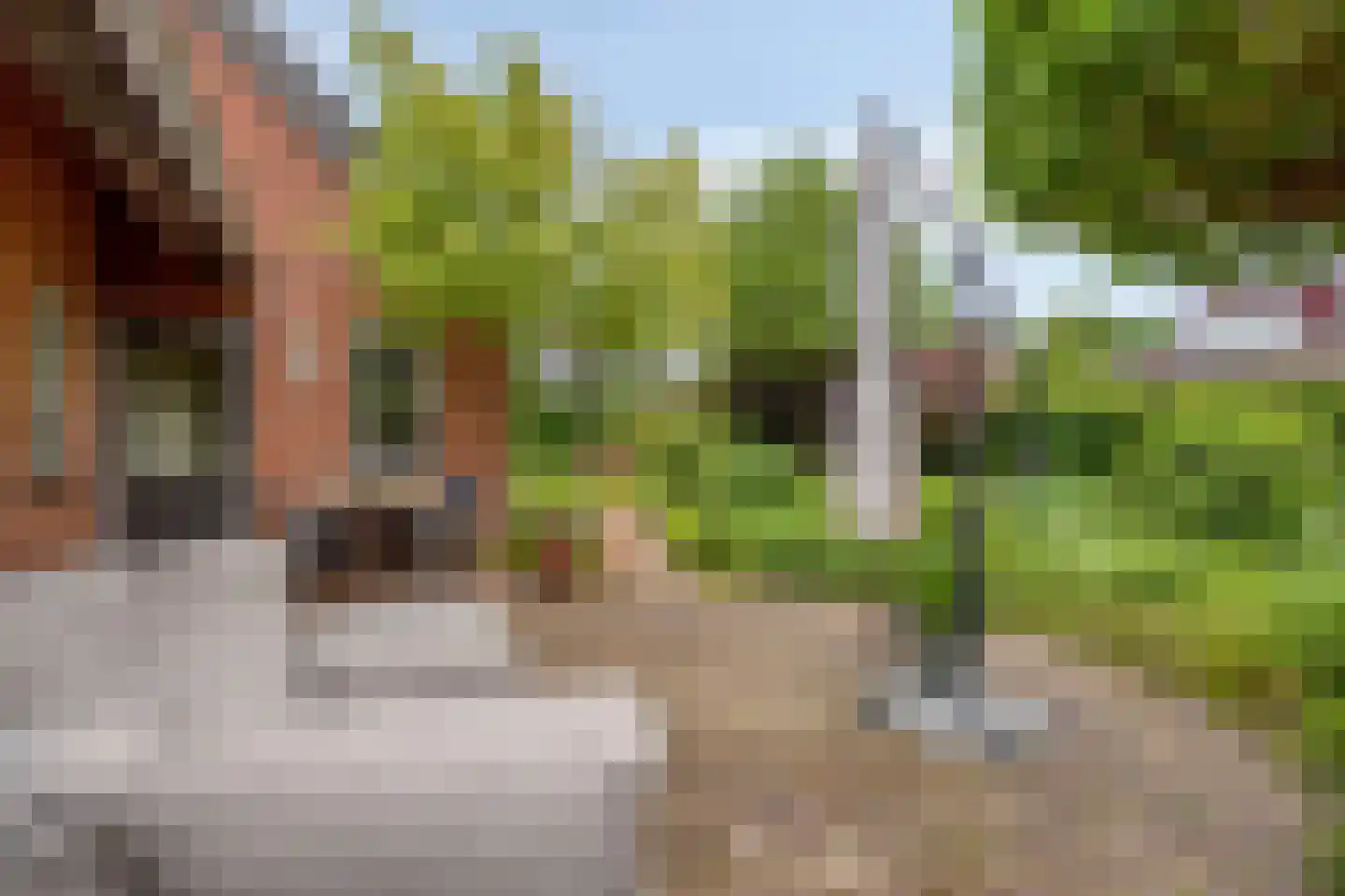 Soltstede 14 Vries thumbnail 38