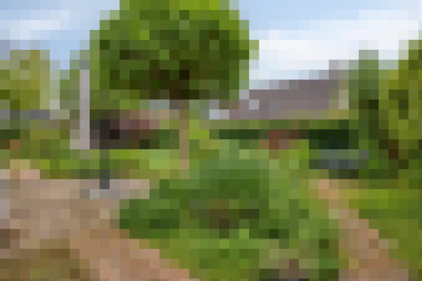 Soltstede 14 Vries thumbnail 40