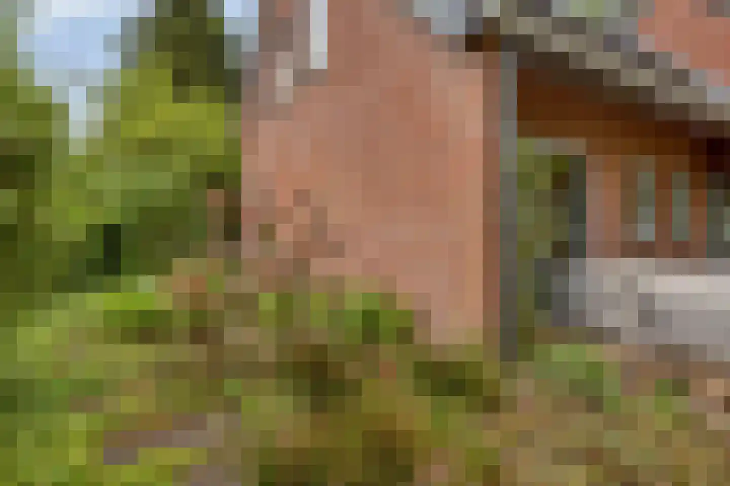 Soltstede 14 Vries thumbnail 41