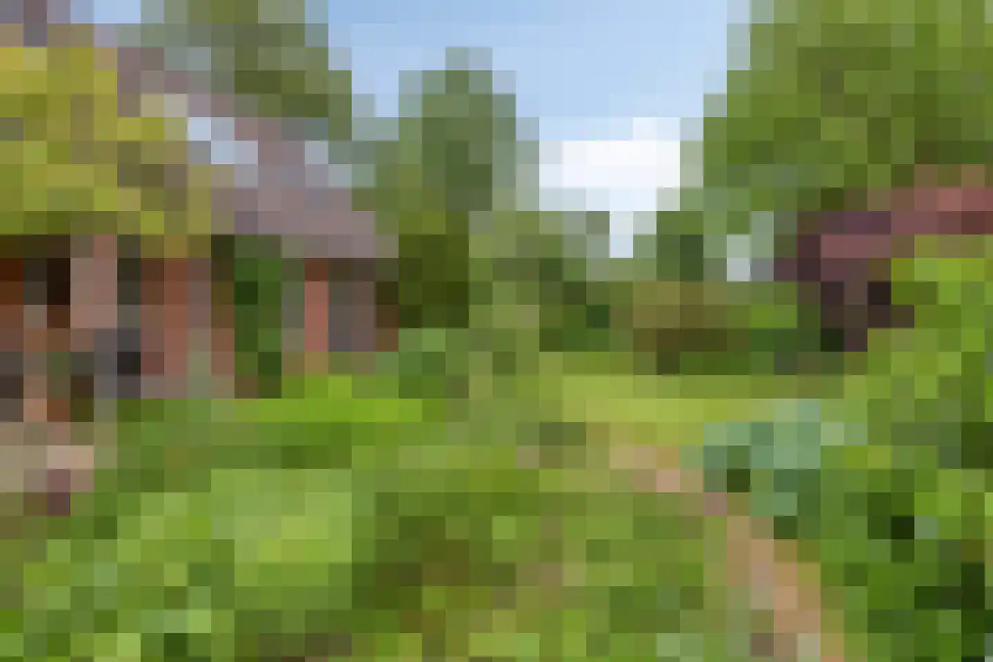 Soltstede 14 Vries thumbnail 42