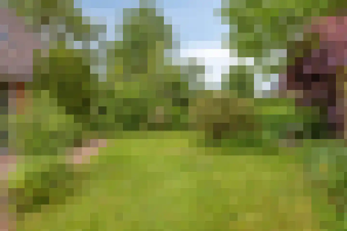 Soltstede 14 Vries thumbnail 44