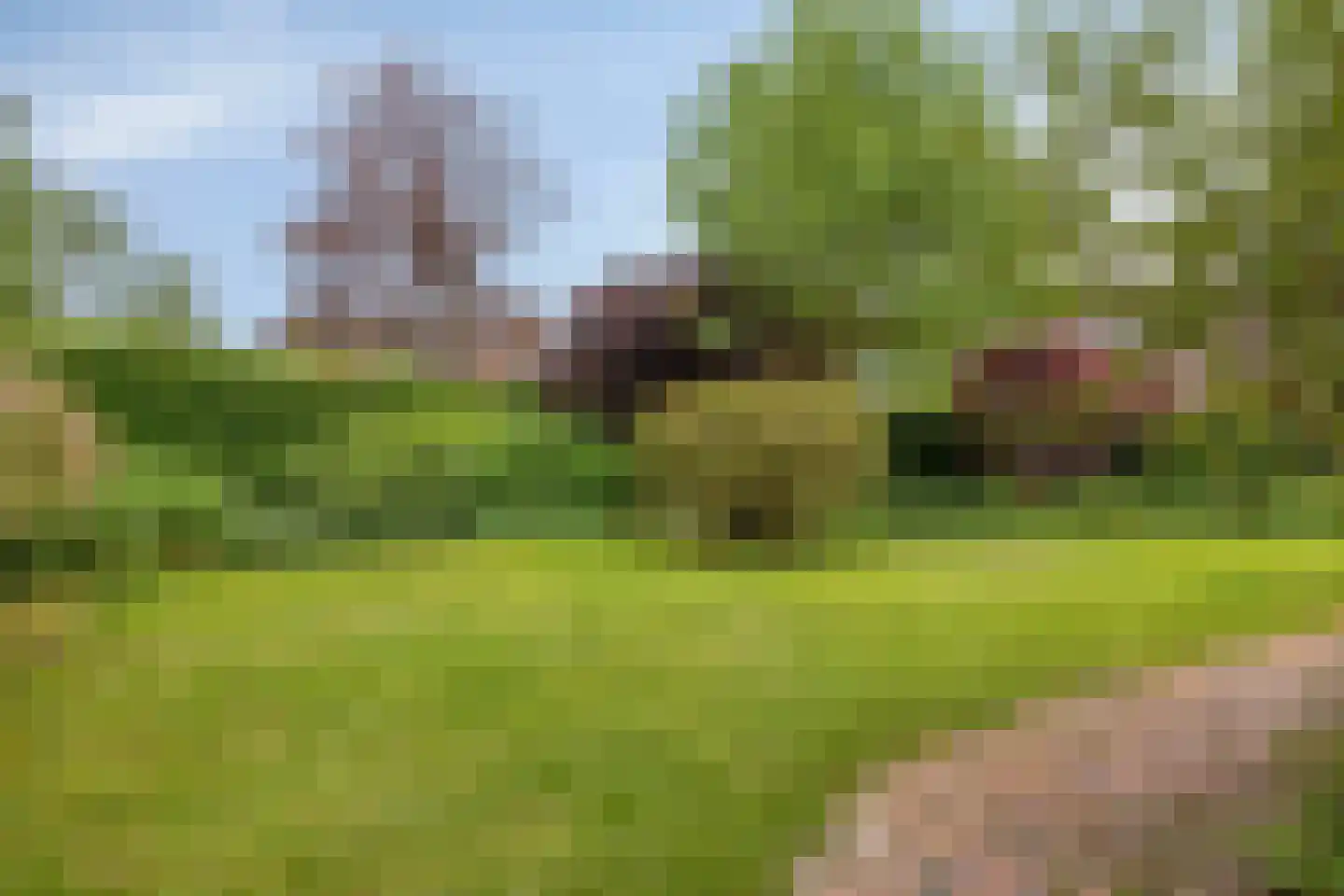 Soltstede 14 Vries thumbnail 45