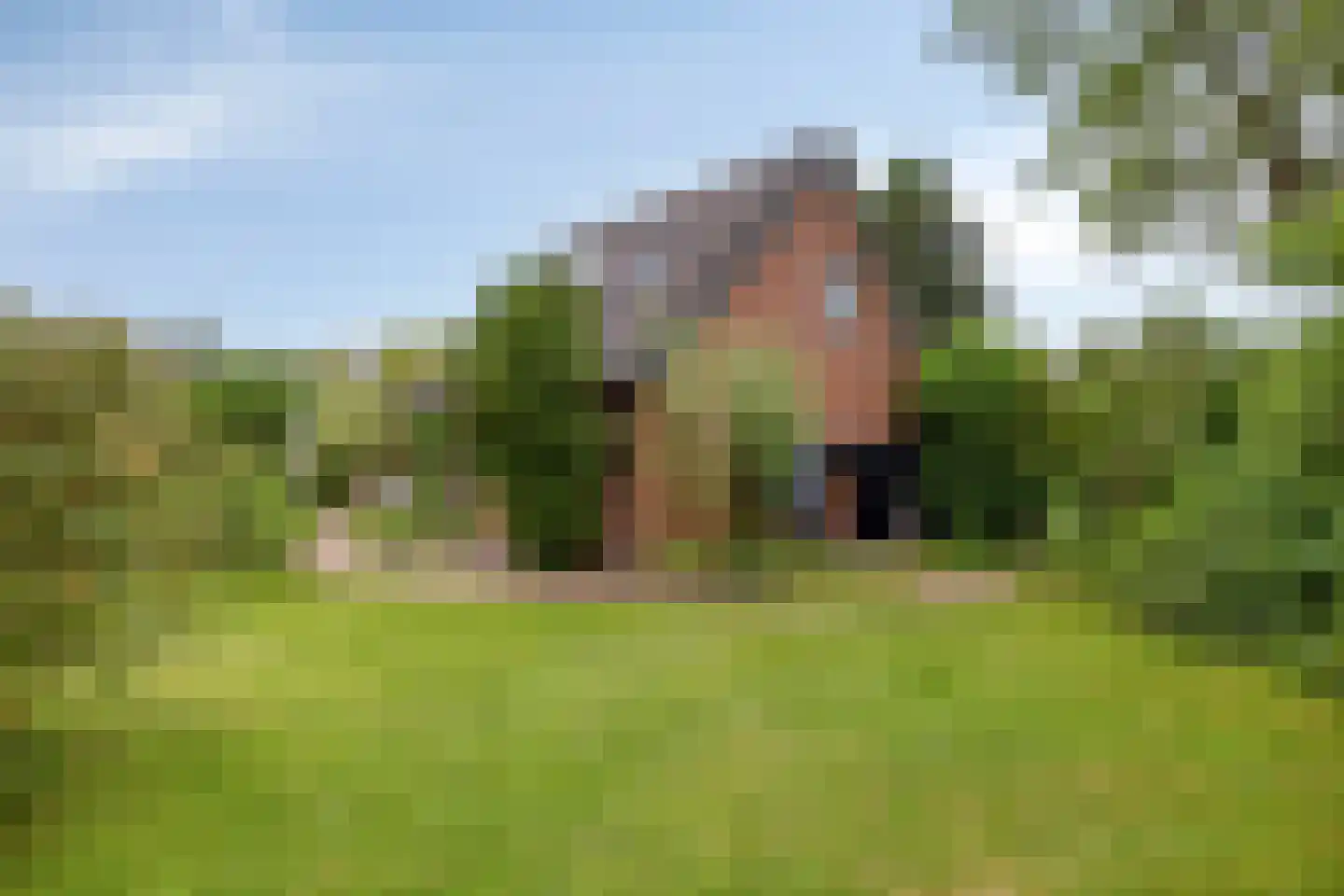 Soltstede 14 Vries thumbnail 46