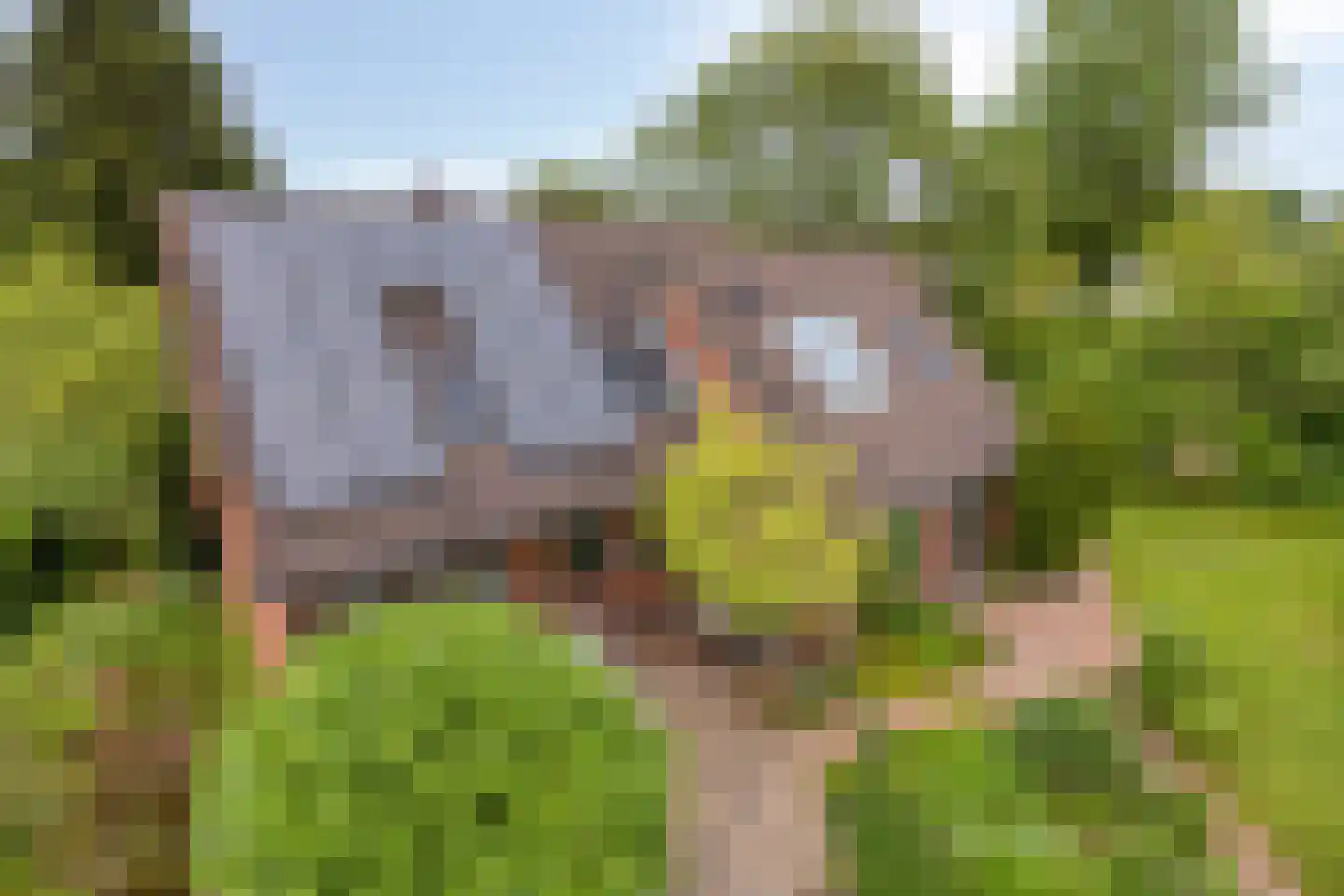 Soltstede 14 Vries thumbnail 47