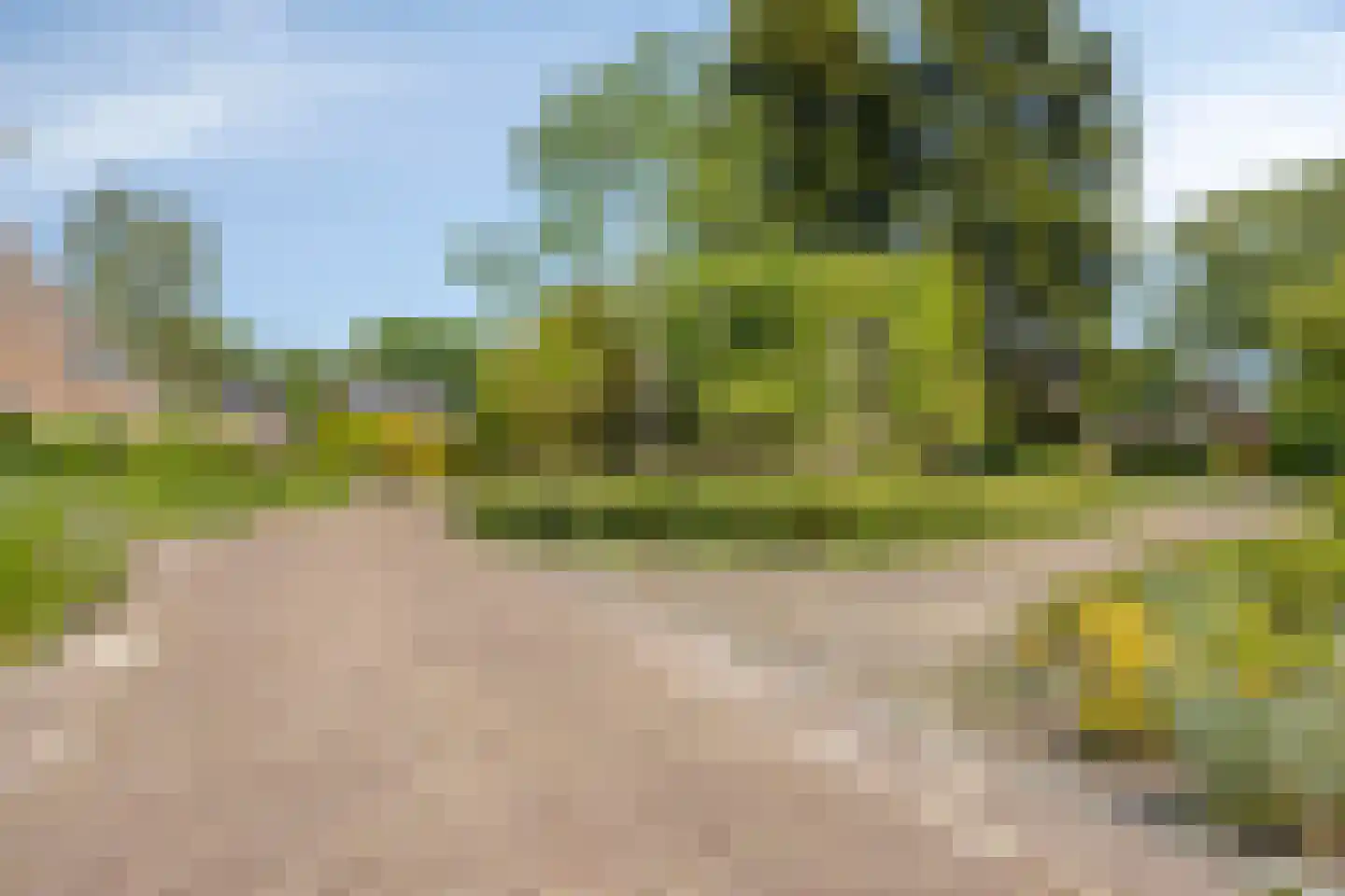 Soltstede 14 Vries thumbnail 48