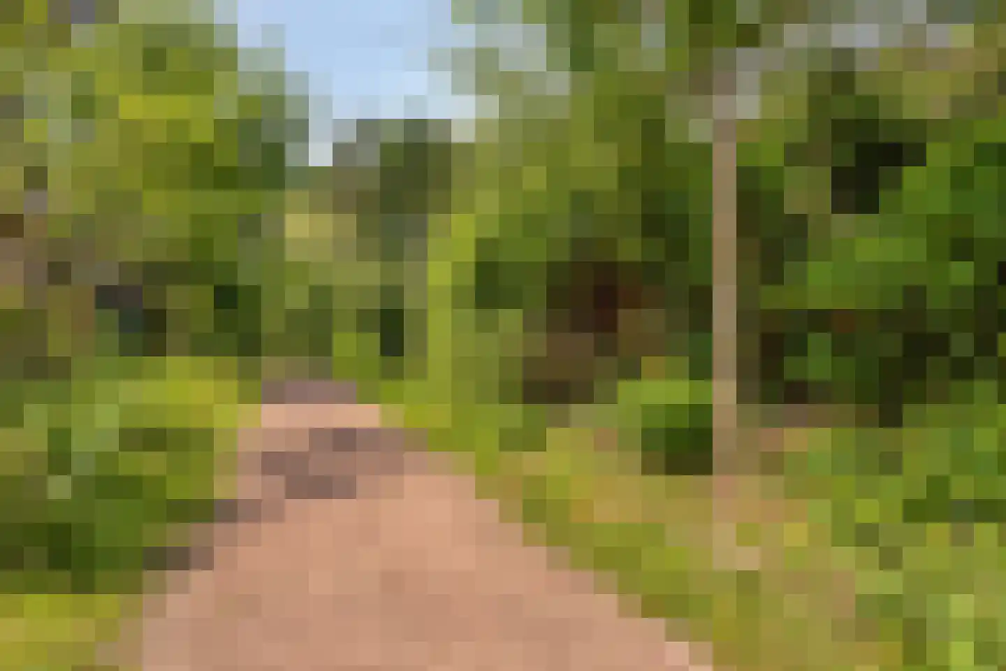 Soltstede 14 Vries thumbnail 49