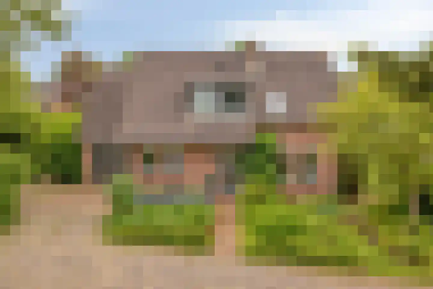 Soltstede 14 Vries thumbnail 5