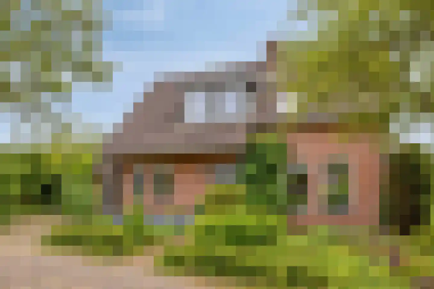 Soltstede 14 Vries thumbnail 6