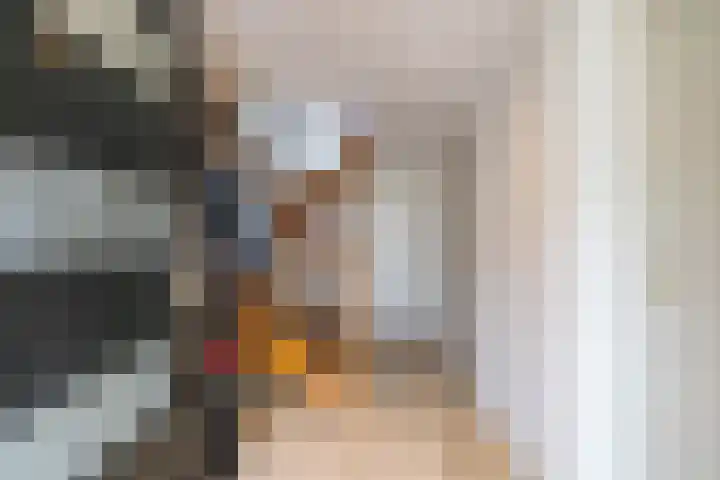 Soltstede 16 Vries thumbnail 11