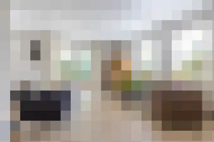 Soltstede 16 Vries thumbnail 16