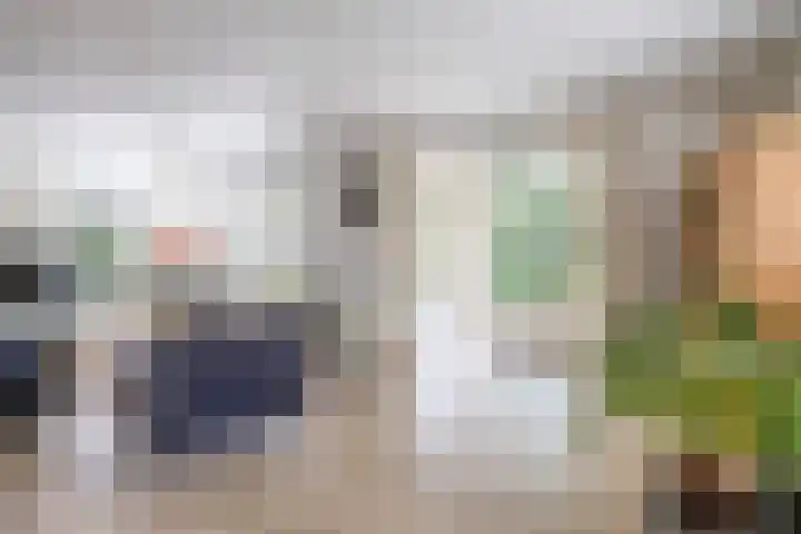 Soltstede 16 Vries thumbnail 19