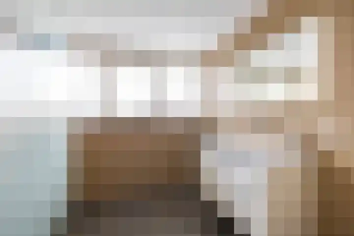 Soltstede 16 Vries thumbnail 31