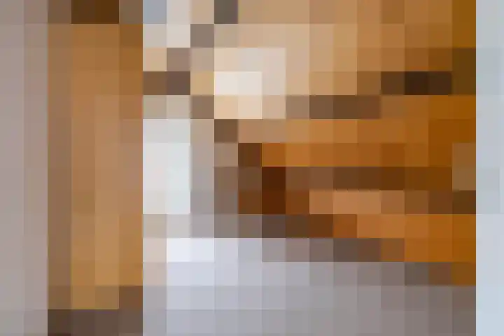 Soltstede 16 Vries thumbnail 39