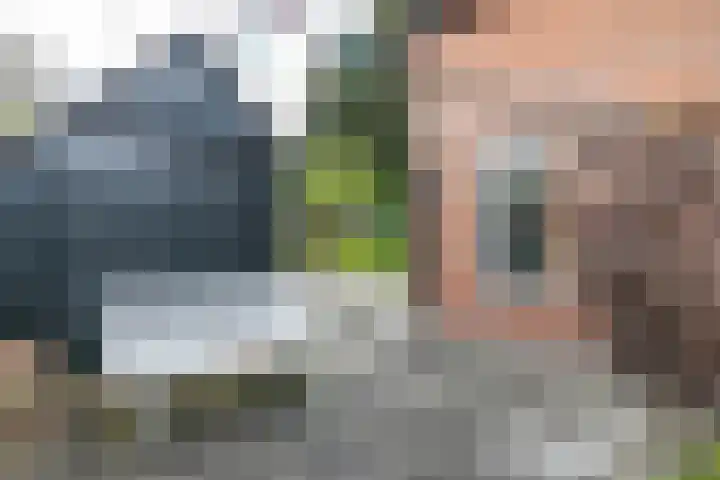 Soltstede 16 Vries thumbnail 44