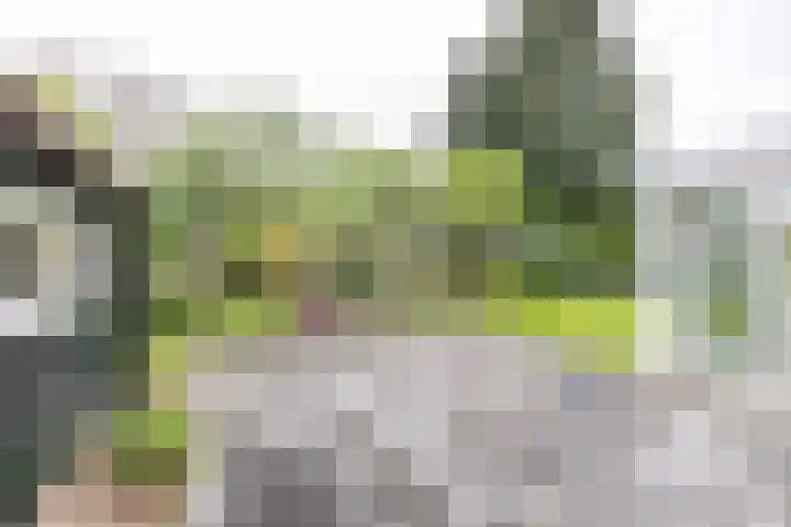 Soltstede 16 Vries thumbnail 47